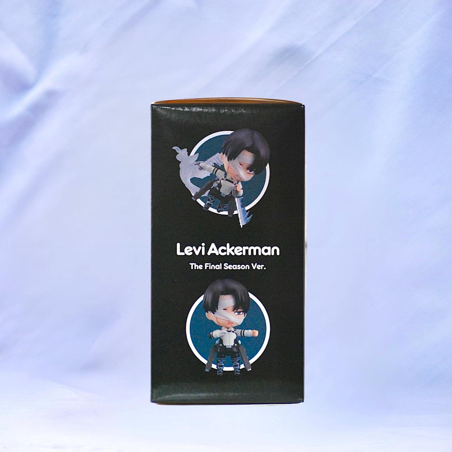 Figura Levi