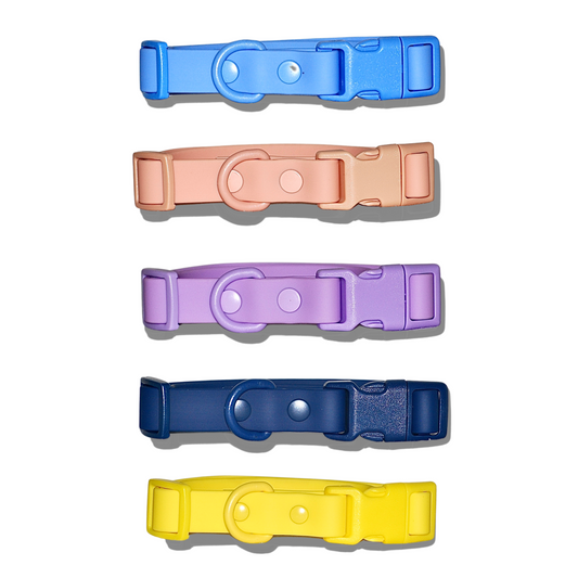 Collar hule